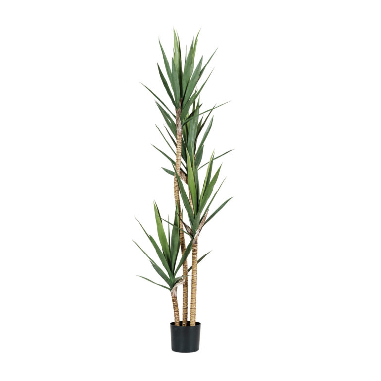 71"H Faux Yucca Tree